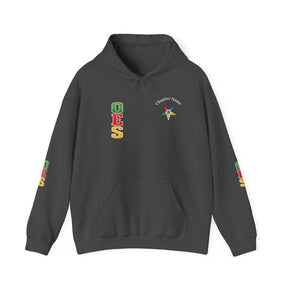 OES Hoodie - Colorful Eastern Star & Initials with Personalization - Bricks Masons