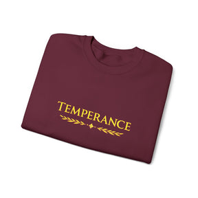 Entered Apprentice Blue Lodge Sweatshirt - Square & Compass Temperance Keep Balance - Bricks Masons