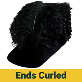 Line Officer Knights Templar Illinois Regulation Chapeau - All Black Plumes - Bricks Masons