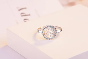 Ancient Israel Ring - 925 Sterling Silver Resizable - Bricks Masons